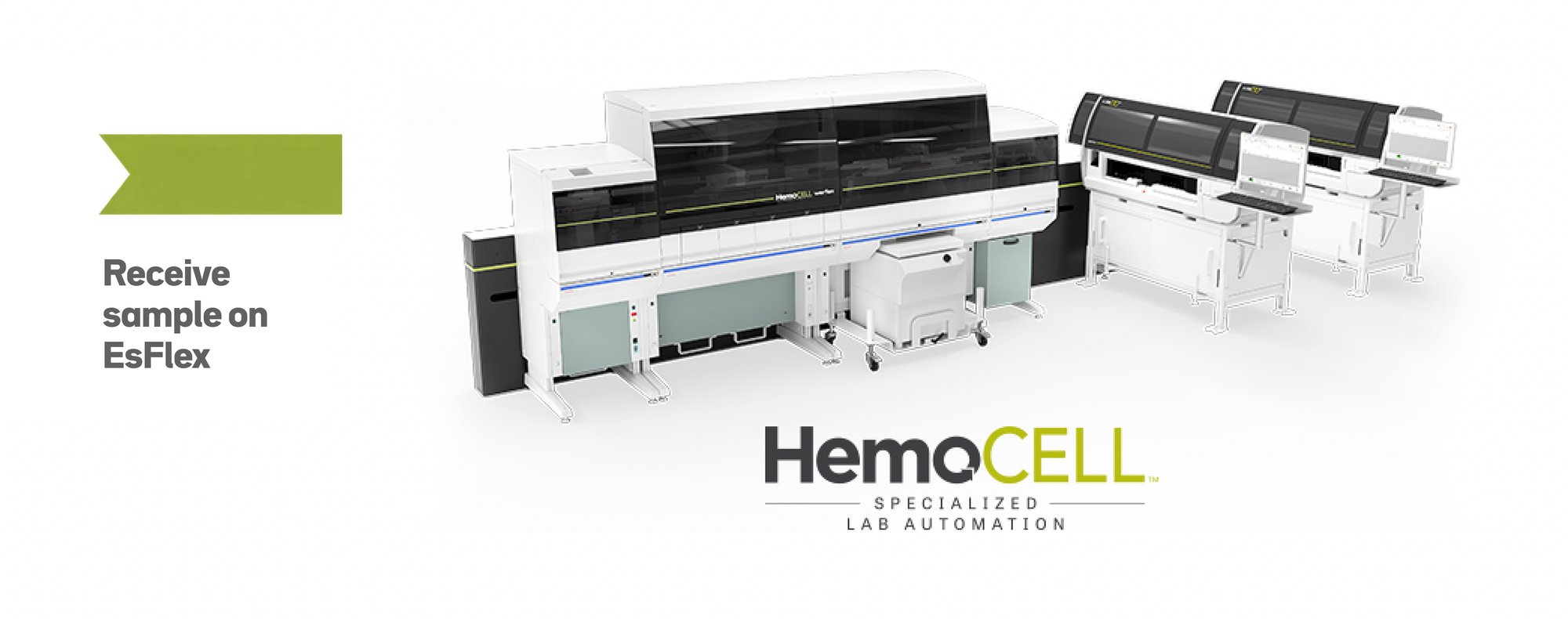 HemoCell-70s-Rendering with Panels 2 HemoCell-70s-Rendering with Panels 2